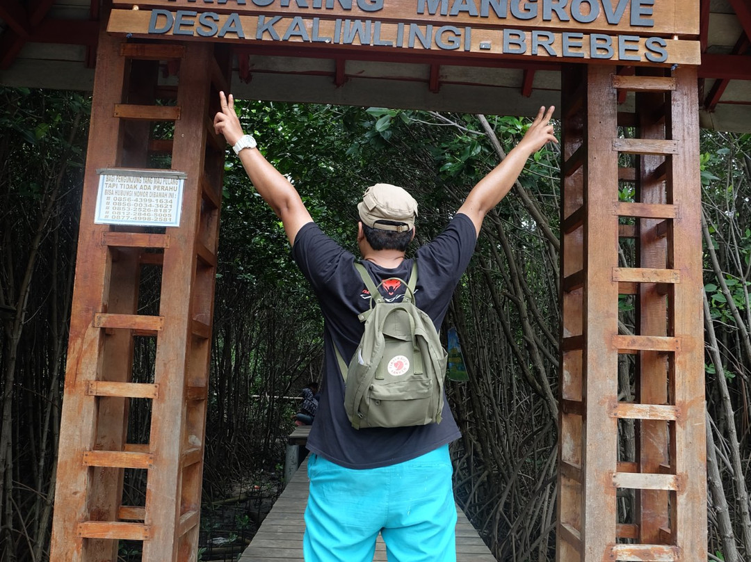 Pandansari Mangrove Forest景点图片