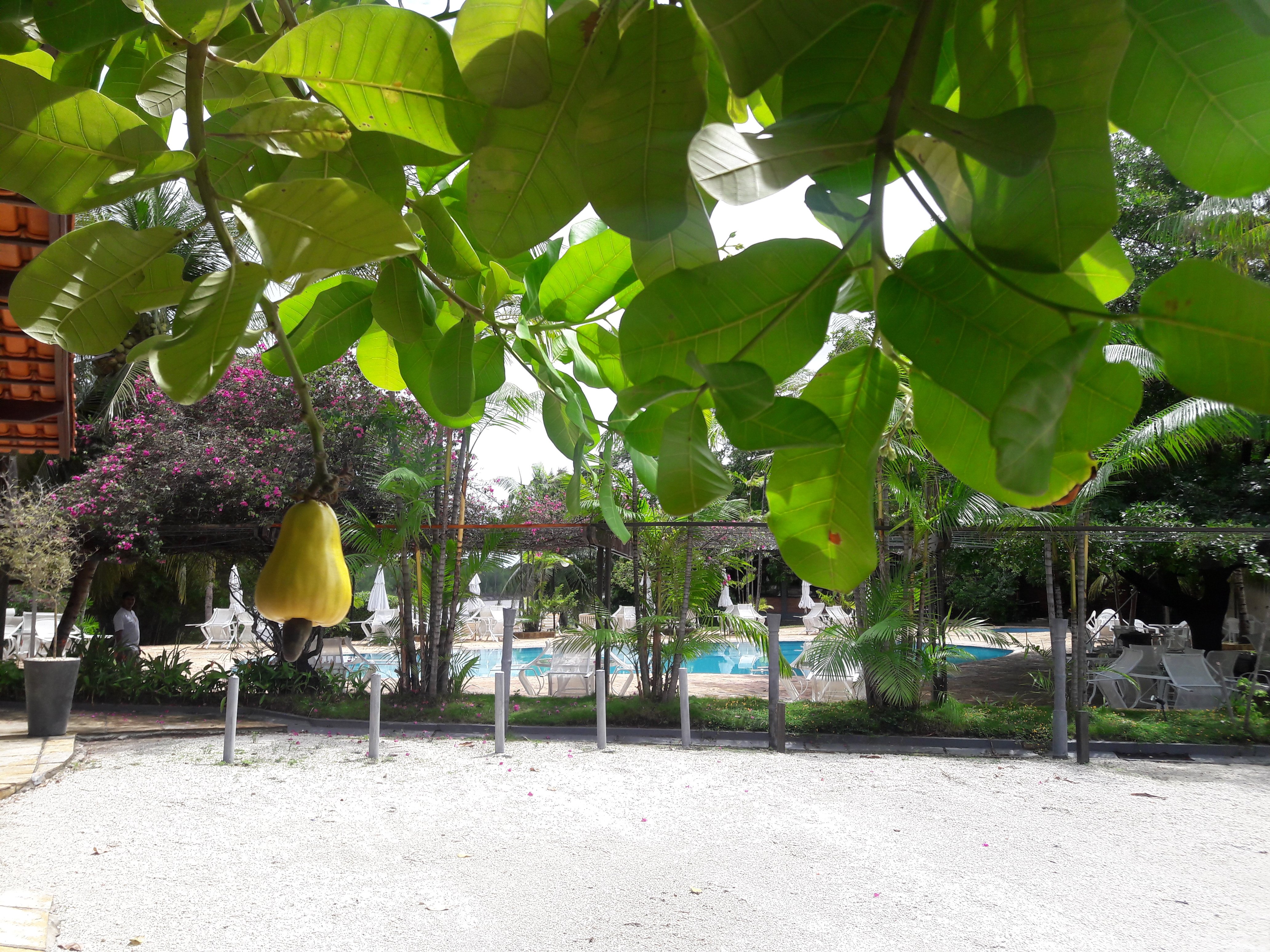 Amazonia Atlantico Resort-浴室