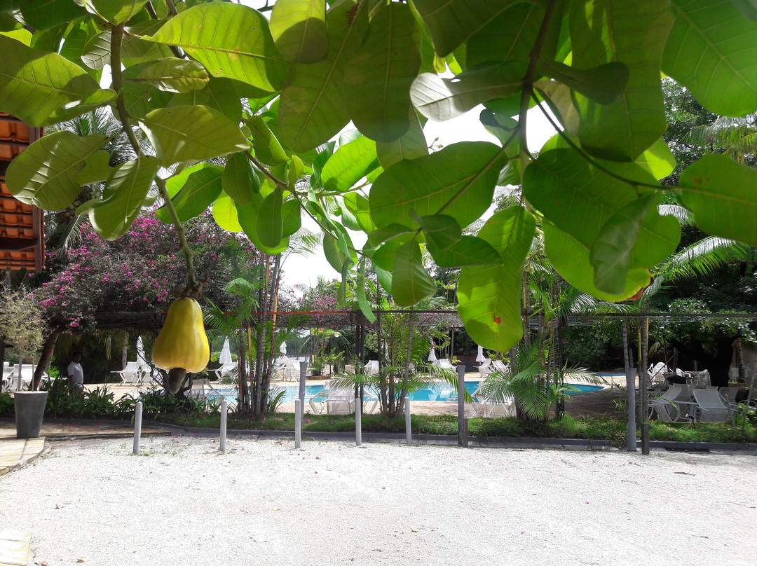 Amazonia Atlantico Resort主图