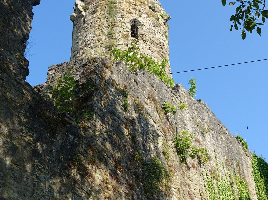 Burg Krautheim景点图片