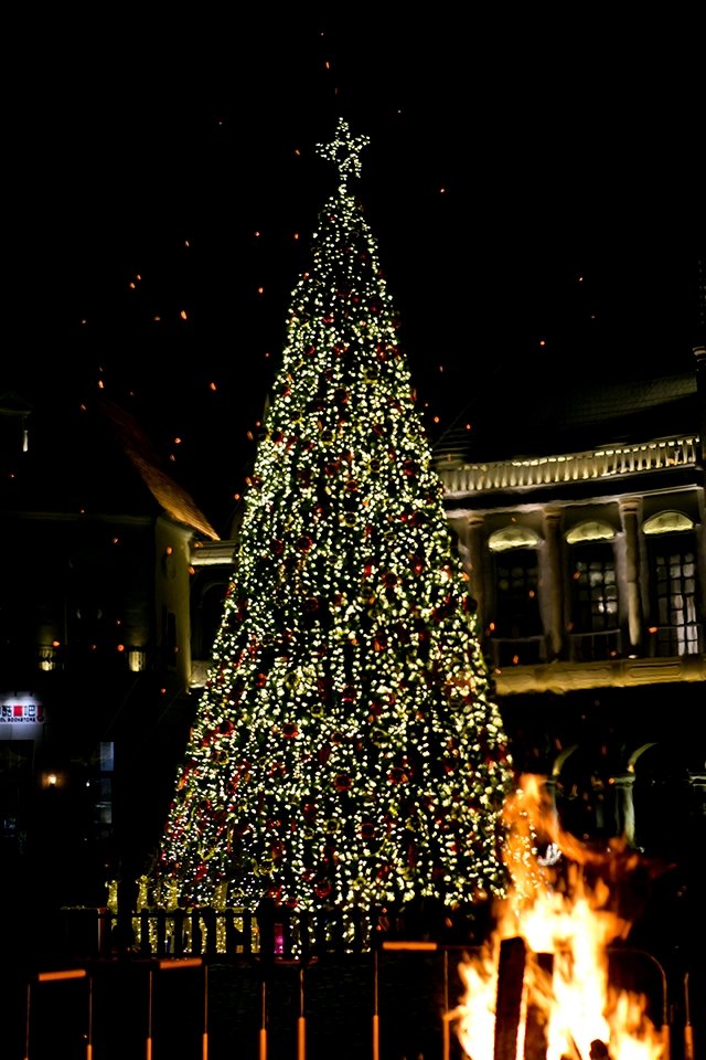 红树林度假世界-家庭/游戏区