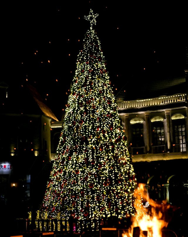 红树林度假世界主图