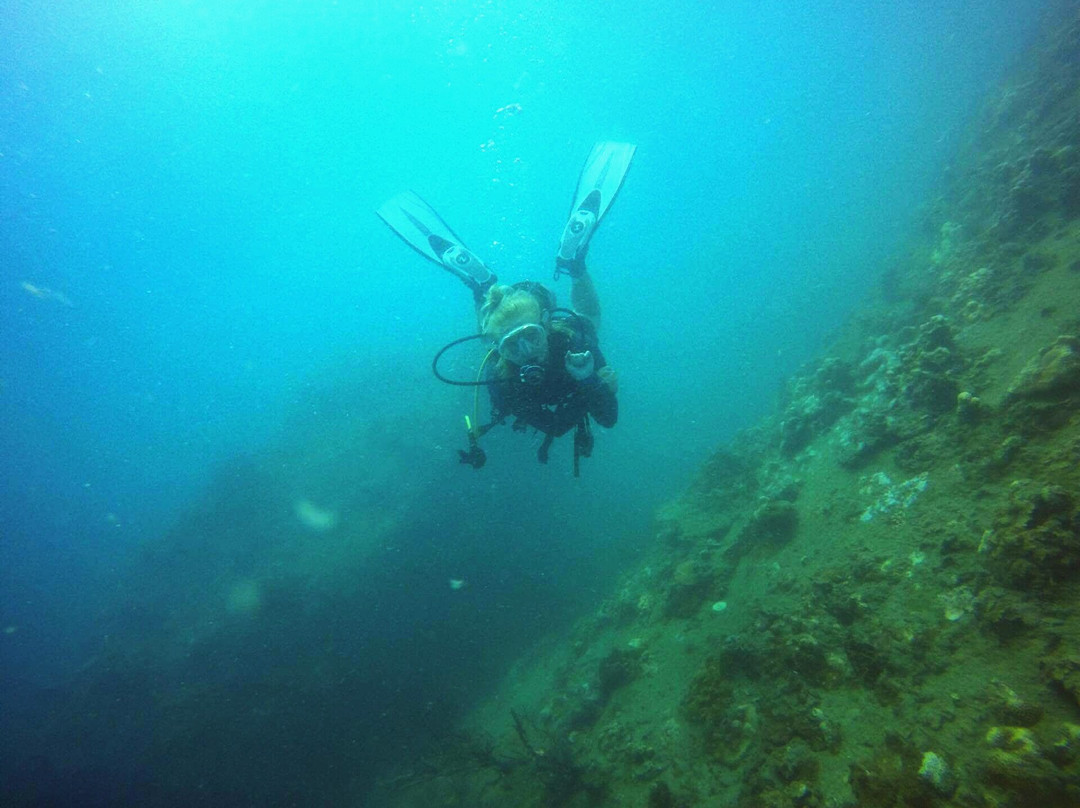 Scuba Diving Pattaya景点图片