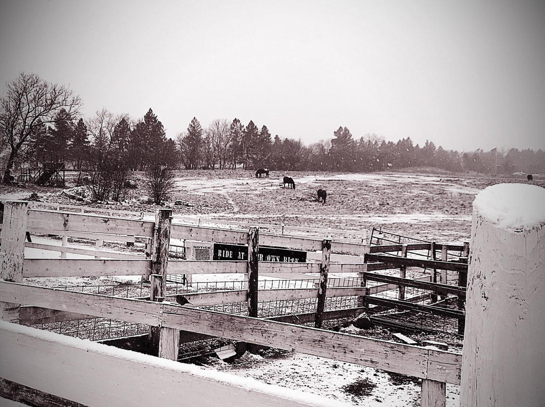 Dan Patch Stables-日内瓦湖必去景点