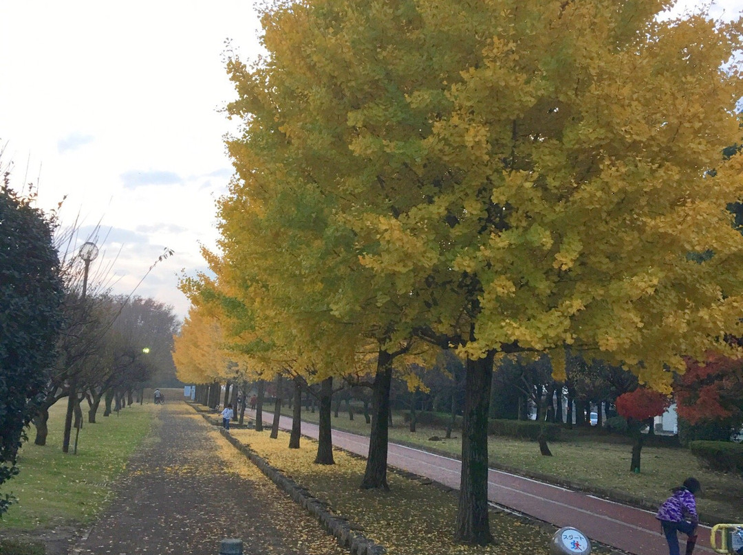 Kumagaya Sakura Sports Park-熊谷市必去景点