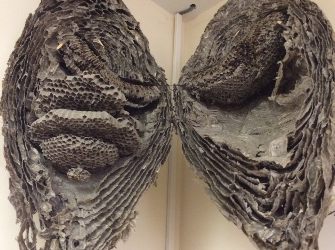 Weeks Bay Reserve-费尔霍普必去景点