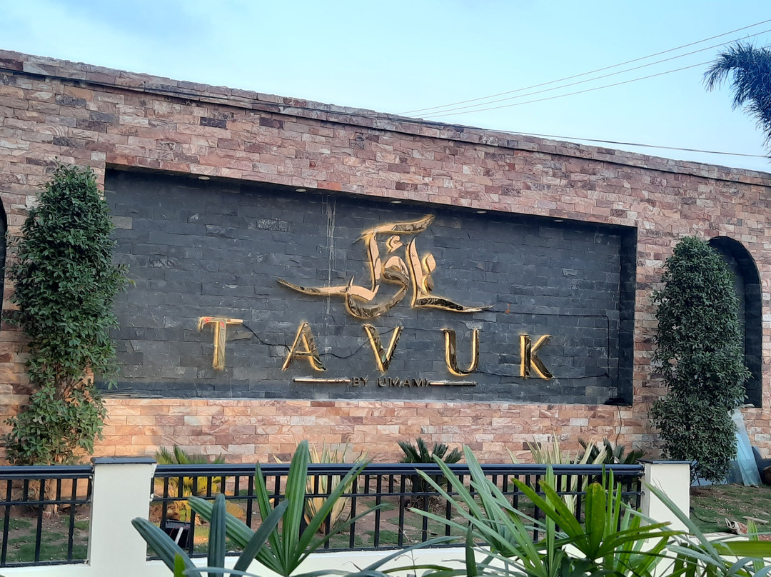 Tavuk