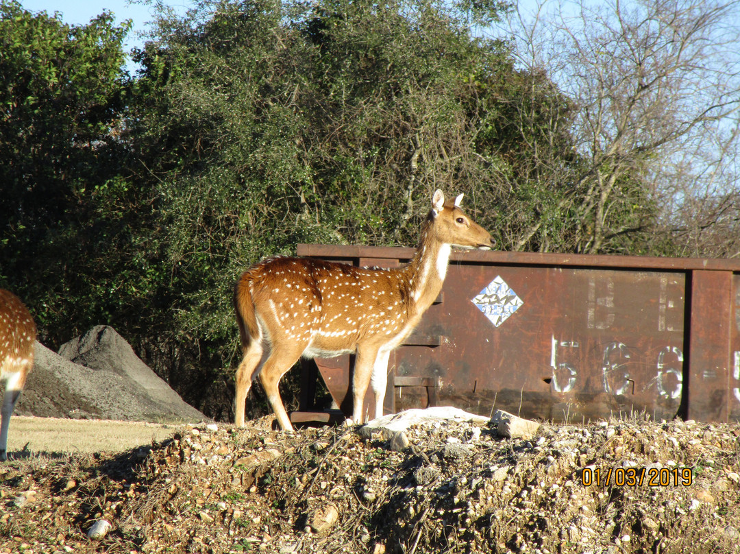 Bandera City Park-Bandera必去景点
