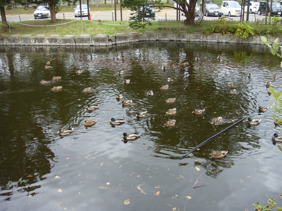 Satsunai Garden Onsen-幕别町必去景点