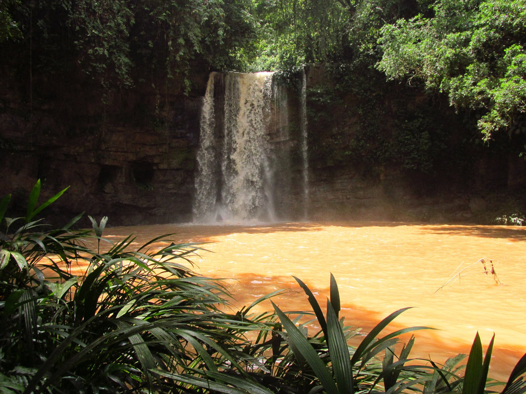 El Paujil Nature Reserve