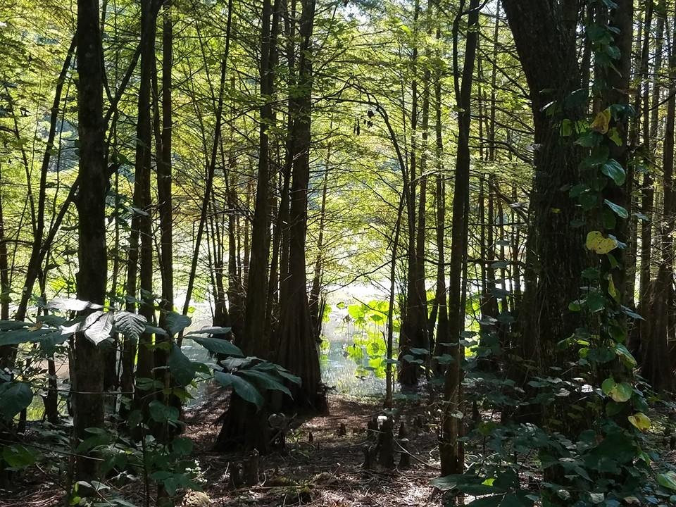 Noxubee National Wildlife Refuge-Brooksville必去景点