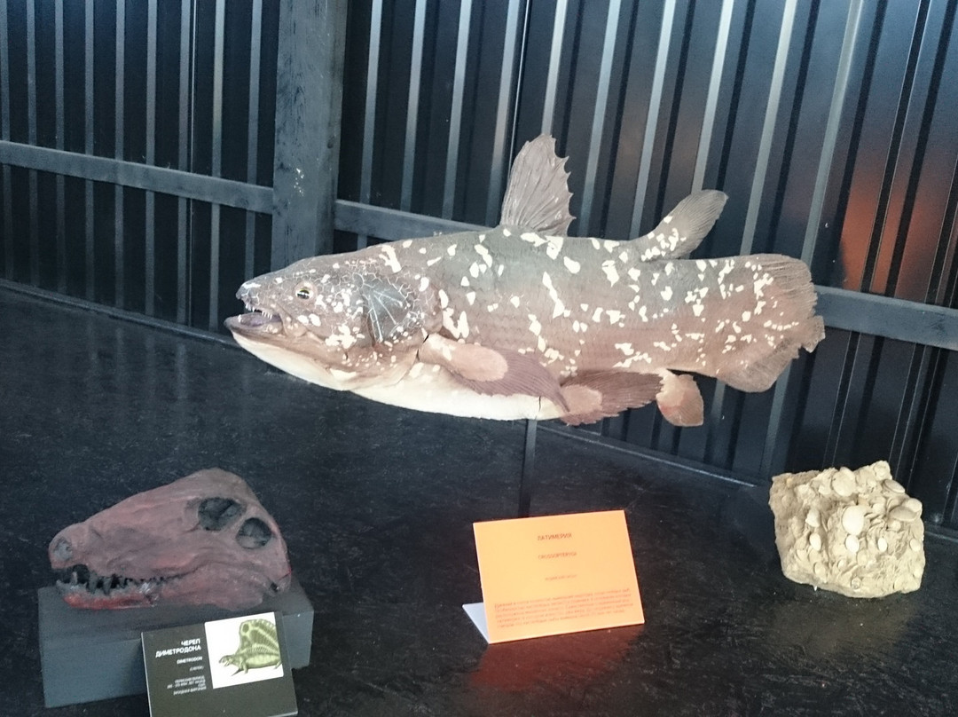 Museum of Natural History Paleopark-Elekmonar必去景点