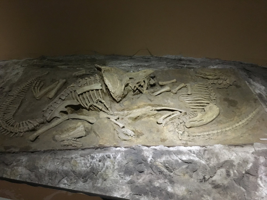 National Geological Museum-空銮必去景点