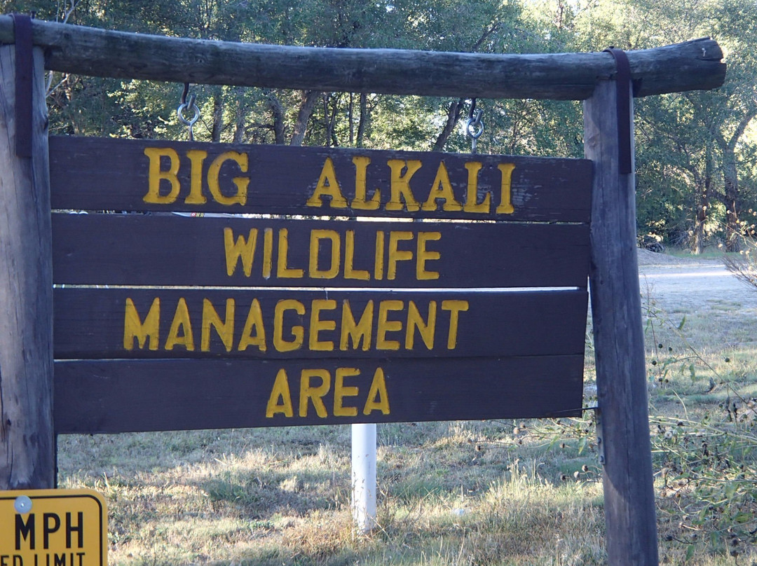 Big Alkali Lake State Wildlife Management Area-Valentine必去景点
