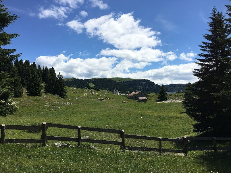Giardino Botanico di Passo Coe - Fondazione Museo Civico di Rovereto景点图片