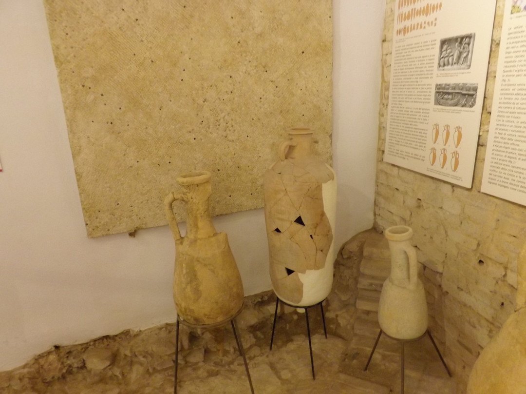 MAF - Museo Archeologico Civico Tobia Aldini-Forlimpopoli必去景点