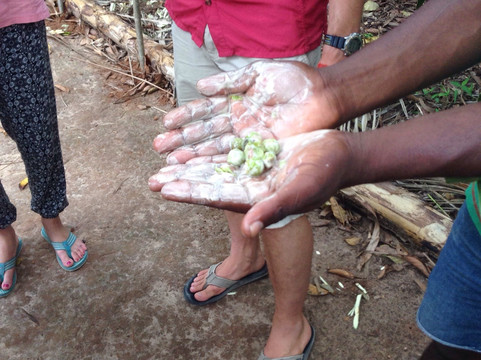 Spice Tour - Mitu's Spice Tour-马林地必去景点