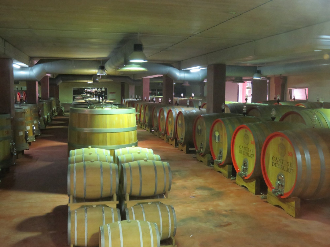 Cantine Due Palme-Cellino San Marco必去景点