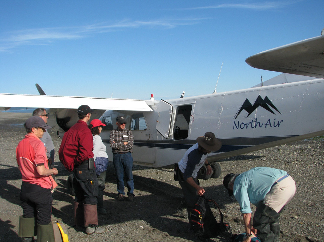 Hallo Bay Lodge Bear VIewing-荷马必去景点