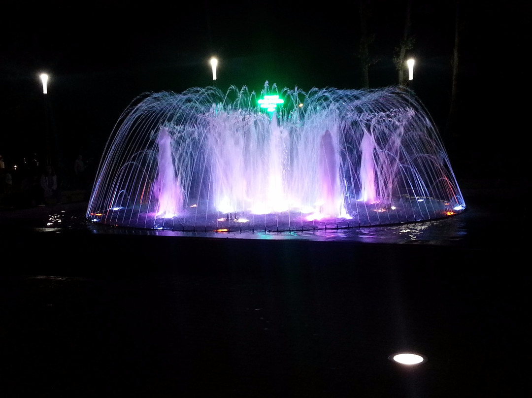 Musical fountain-帕兰加必去景点