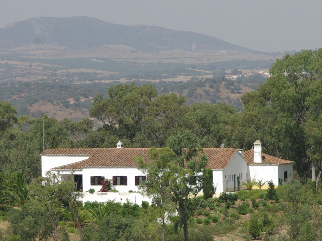 Herdade de Vale Covo