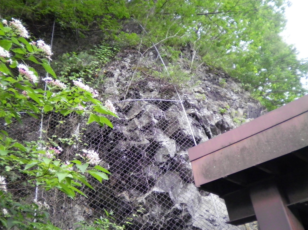 Fossamagna Park景点图片