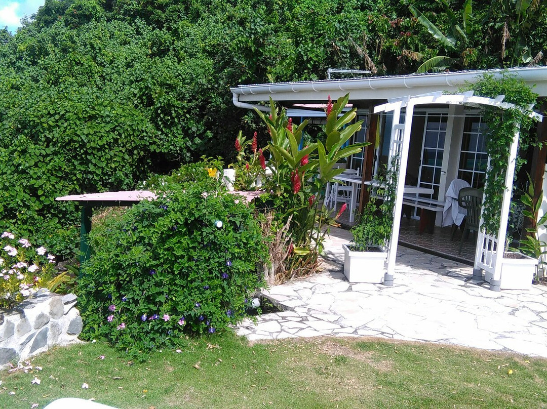 Bellevue Raiatea主图