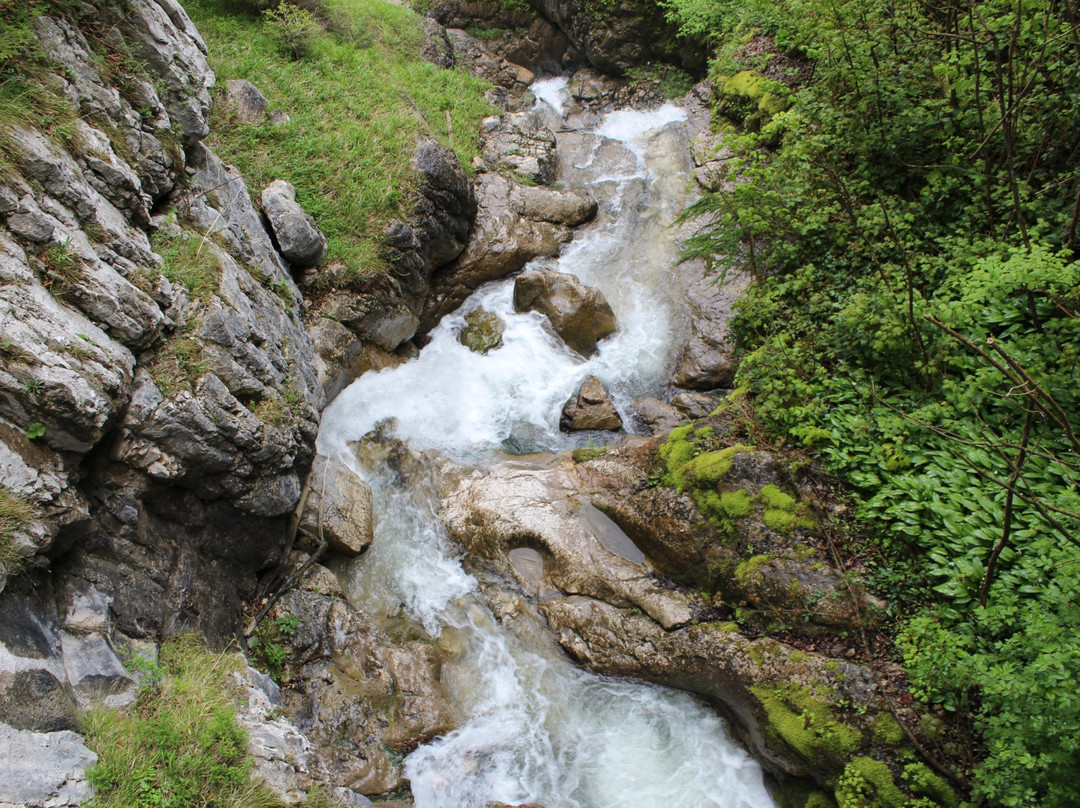 Waldbachstrub Waterfall景点图片