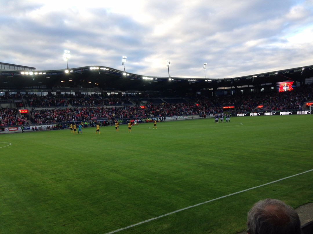 Viking Stadion景点图片