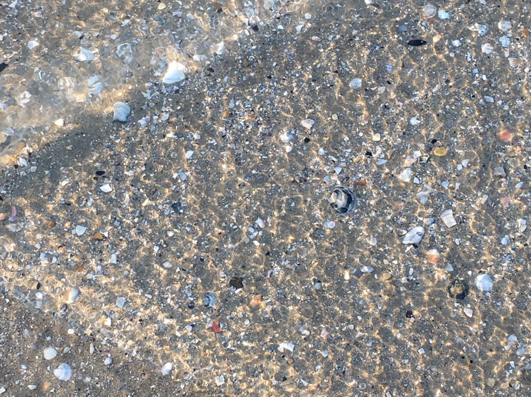 Spiaggia 61-里乔内必去景点