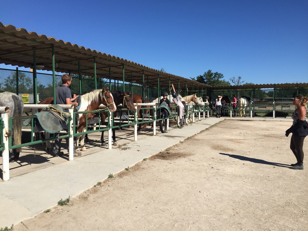 Le Cheval Andalou景点图片