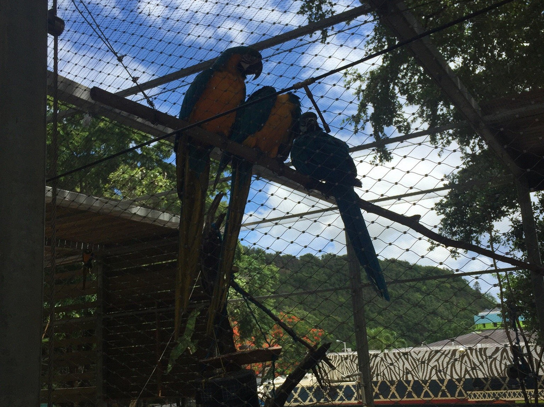 Science Park-圣胡安必去景点