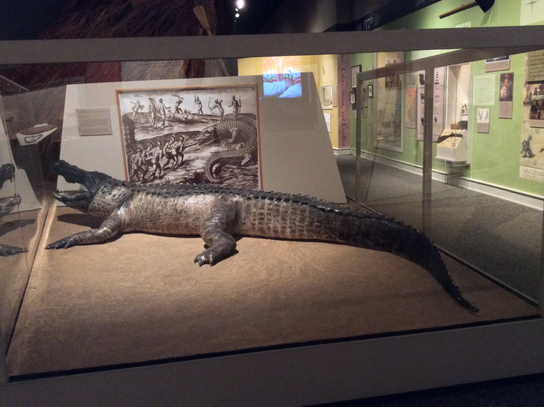 Columbus Museum-哥伦布必去景点