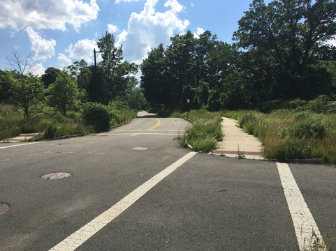 波士顿自然中心-波士顿必去景点