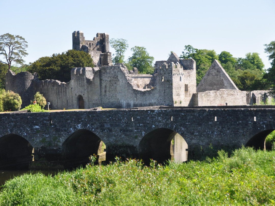 Adare旅游景点-Desmond Castle