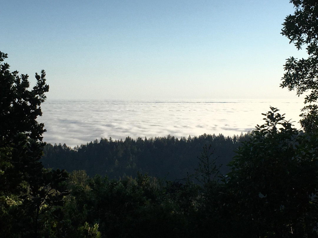 El Corte De Madera-Woodside必去景点