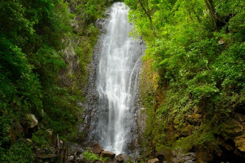 Cachoeira do Martelo景点图片