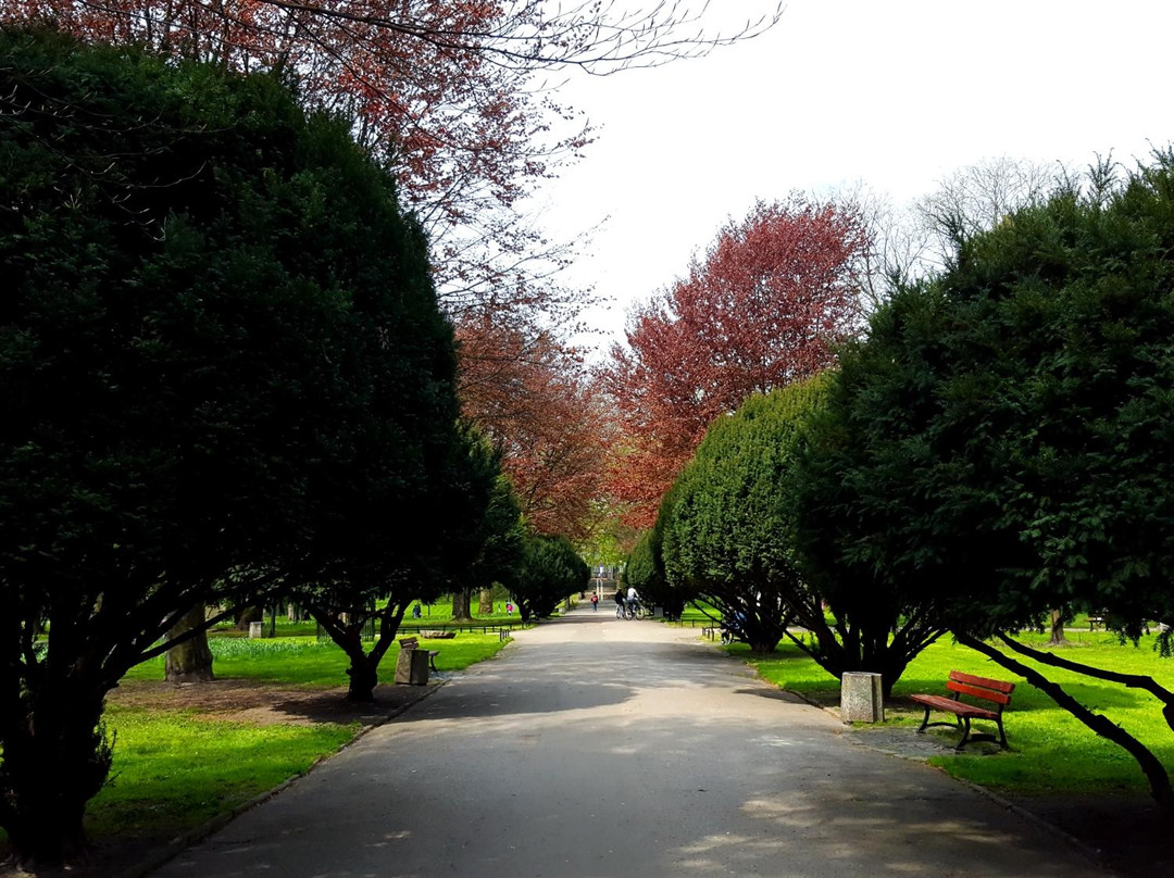 Park Wiosny Ludow景点图片