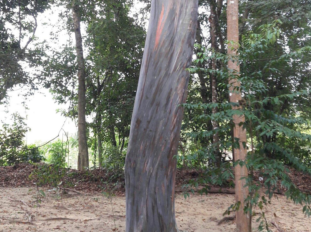 Buddha’s Footprint Temple-Na Mueang必去景点