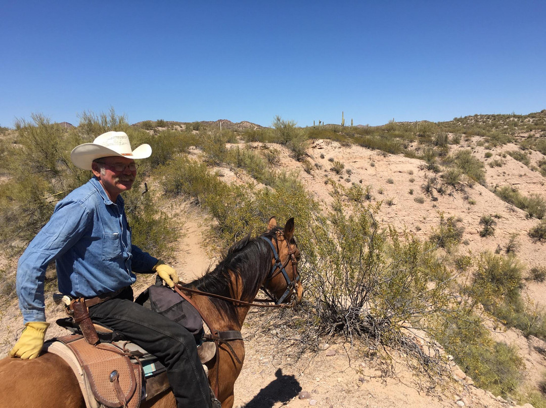 Cowboy Way Adventures-Wickenburg必去景点