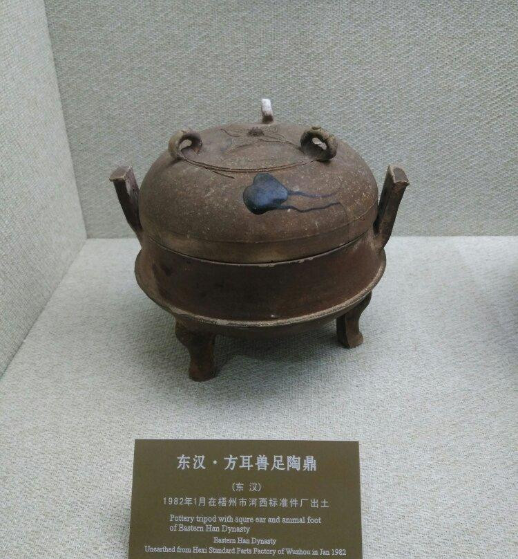 梧州博物馆景点图片