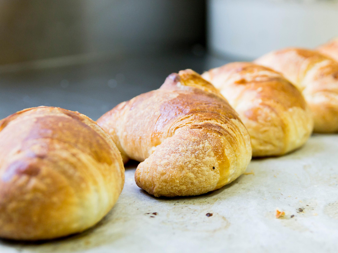 Opera餐馆和美食-Pasticceria ENEA