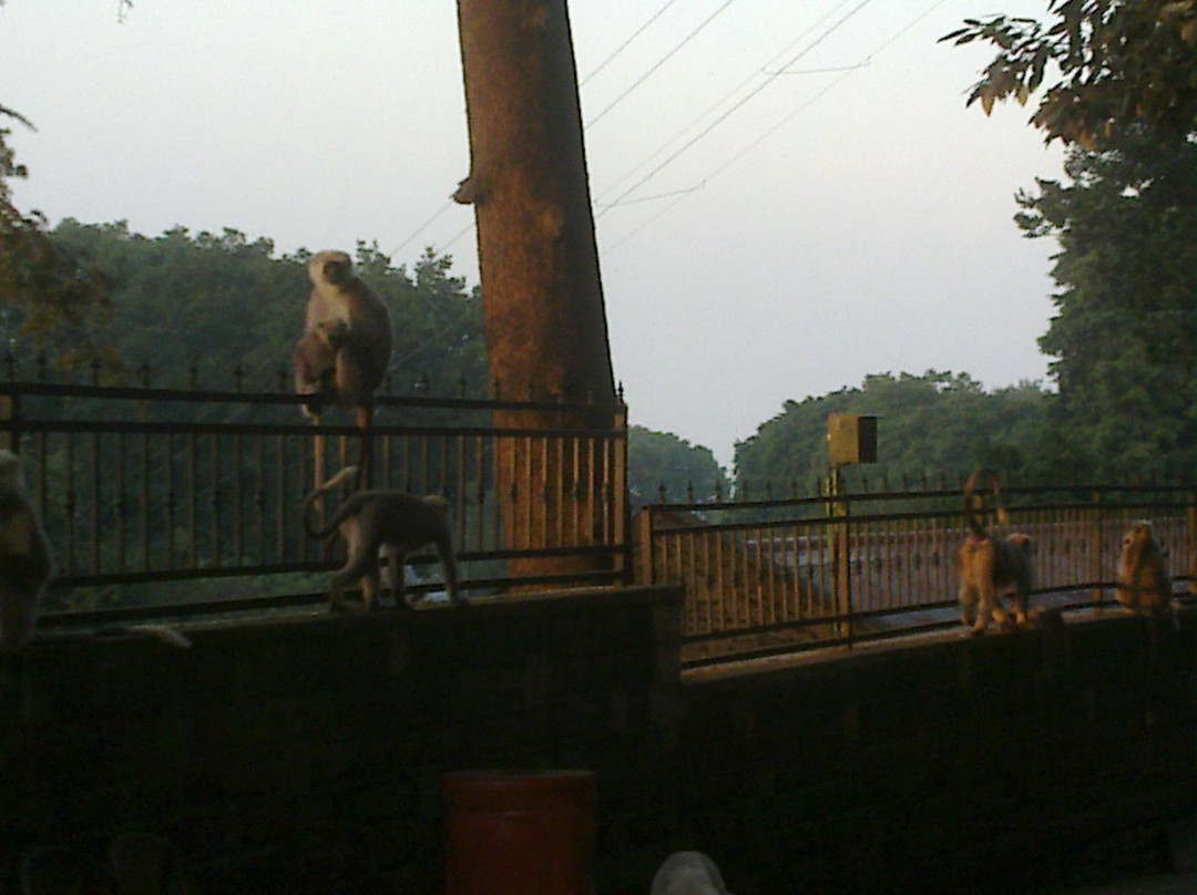 Monkey Point-Kasauli必去景点