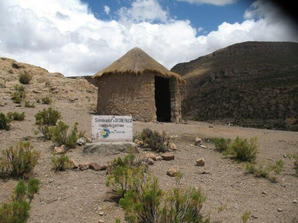 Parque Nacional Volcan Isluga-Colchane必去景点