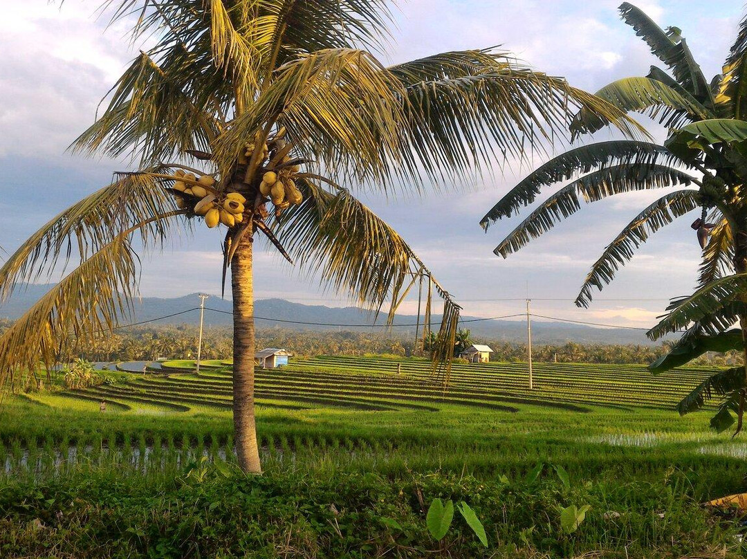 Soka Beach-达巴南必去景点