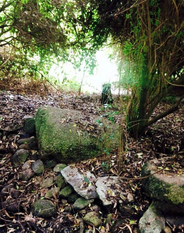 Maranoa Gardens-博文必去景点