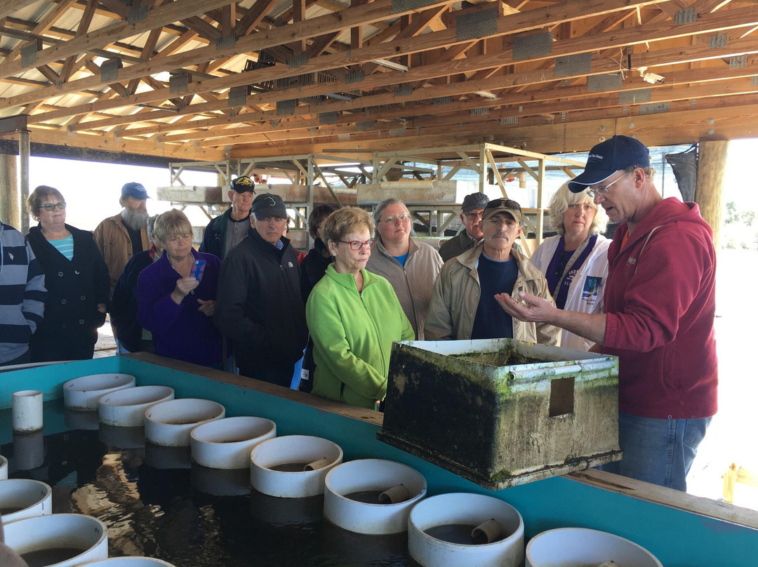 Southern Cross Sea Farms-锡达礁必去景点