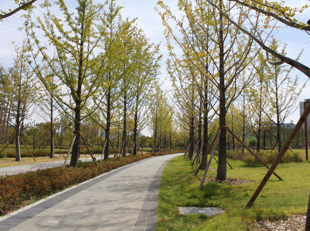 Busan Citizens Park-釜山必去景点