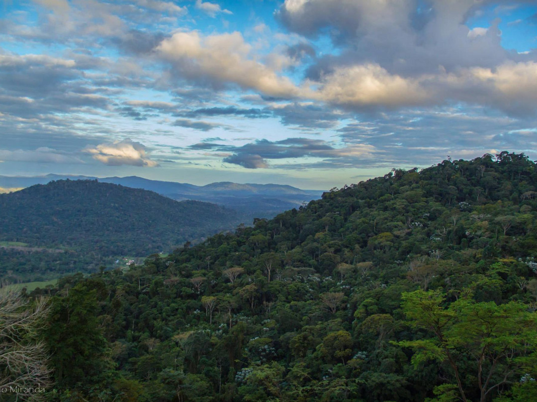 Serra Bonita Reserve-Camacan必去景点