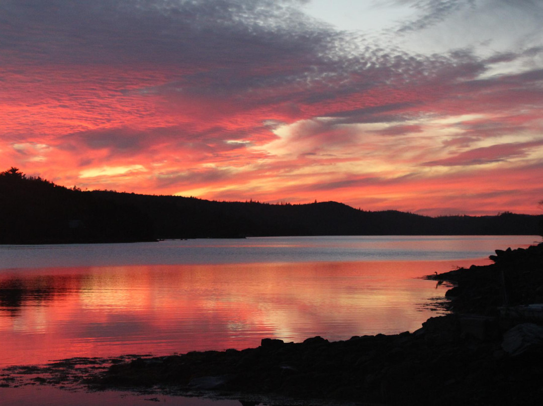 Salmon River Country Inn主图